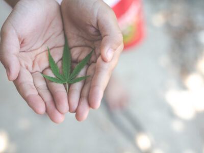 Use of Marijuana and Mental Wellness