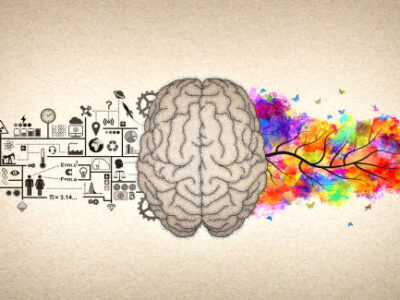 The Impact of Alcohol and Drugs on the Brain