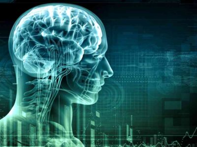Mental Health and Stress Reaction
