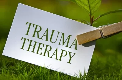 Trauma Recovery Support India