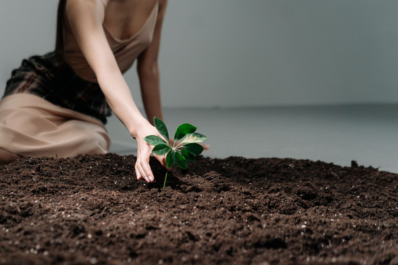 Hope Grows Through Action