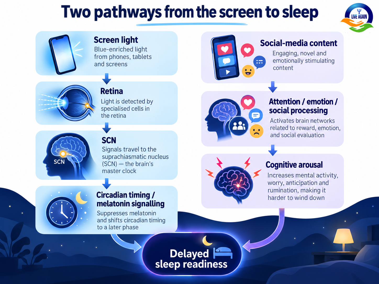 Late Night Screen Use